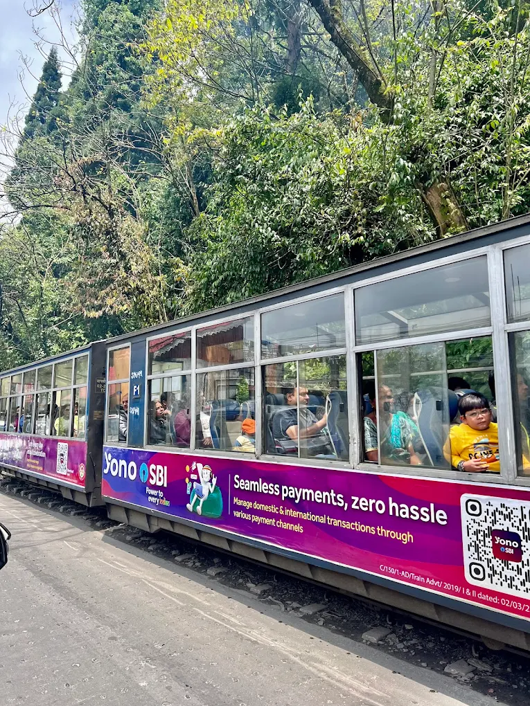 Passengers travelling aboard a mountain railway carriage